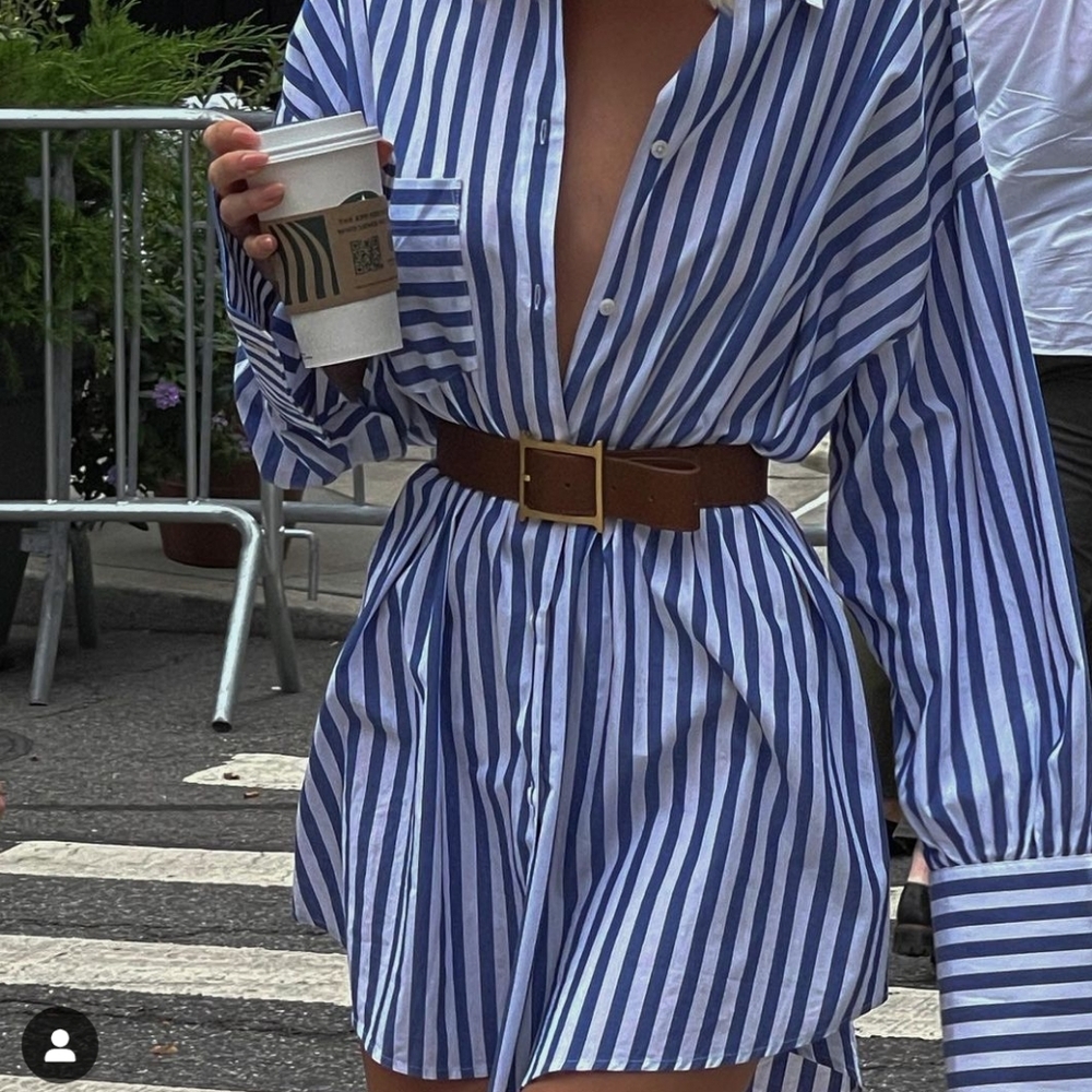 Helsa Cotton Poplin Oversized Shirt In Blue and White Small